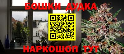 Альфа ПВП Сланцы