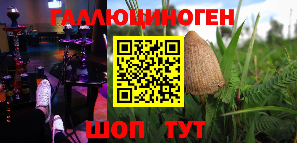 Галлюциногенные грибы MAGIC MUSHROOMS  Псилоцибиновые грибы прущие грибы  сколько стоит  Вход с VPN  Оренбург 